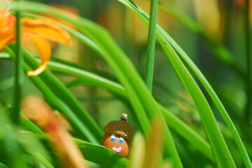 Cartoon character - Srrraja acorn walking on her flowerbed © oleg