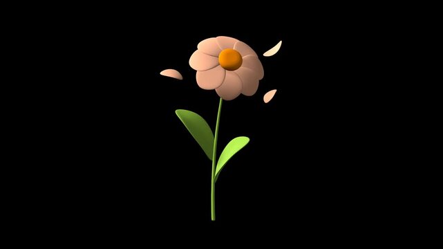 Orange soft rose moving rotation on transparent background