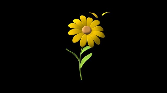 Yellow sunflower isolated moving loop on transparent background