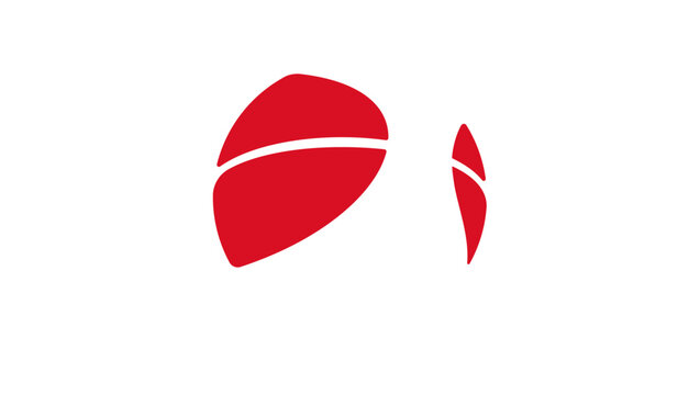 Peru basketball flag, color vector illustration