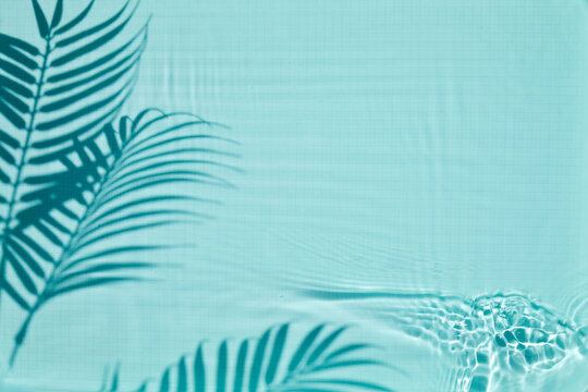Palm leaves shadow reflecting on blue swimming pool water