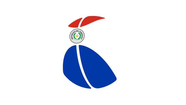 Paraguay basketball flag, color vector illustration