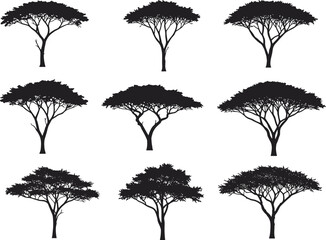 Obraz premium Black acacia tree silhouettes, isolated African savanna trees, flat vector design, nature landscape elements, tropical forest outlines, exotic vegetation icons, minimalist plant shapes art.