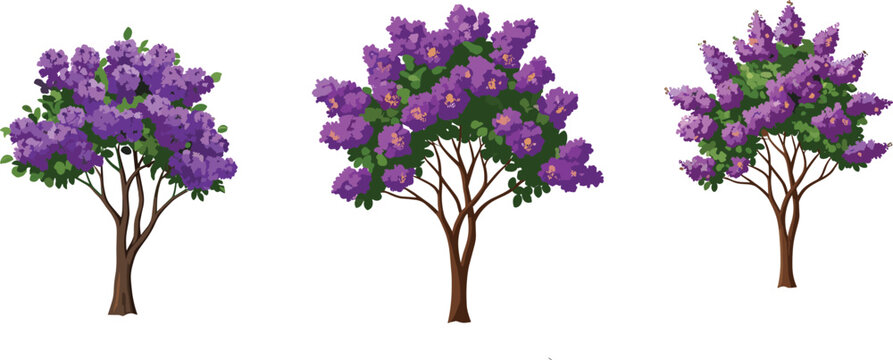 Beautiful purple jacaranda trees in full bloom, vibrant flowers with green leaves, spring nature scene, detailed CAD drawing illustration, colorful floral 
