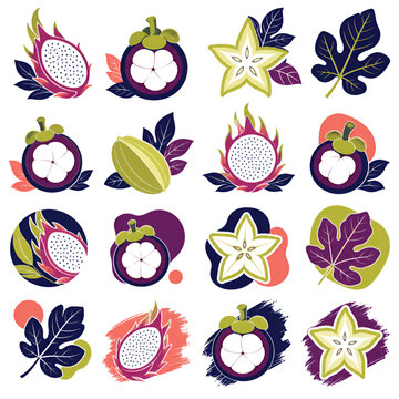 Vibrant tropical fruits and leaves flat design illustration