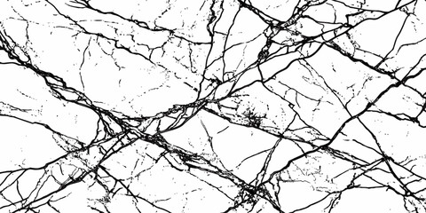 Obraz premium Luxury White Marble Crack Texture Background with Natural Black Stone Veins Abstract Pattern.