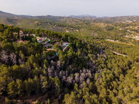 Aerial view of a villa with a swimming pool nestled in a dense pine forest in the hills of Calp, Valencian Community, Spain.