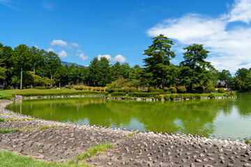 Fototapeta premium 250906信州大芝高原