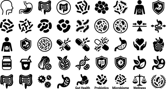 Gut health and wellness icons set for microbiome and probiotics concepts  various symbols for healthy digestive system