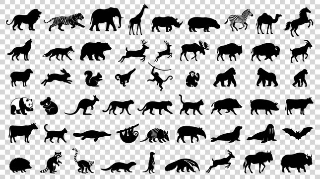 Collection of various animal silhouettes