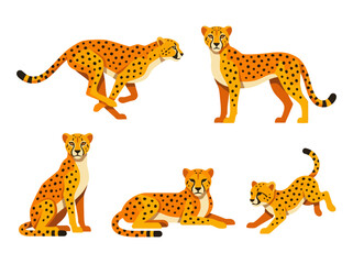 Obraz premium A collection of stylized cheetah illustrations showing various poses including running sitting lying down and playing.
