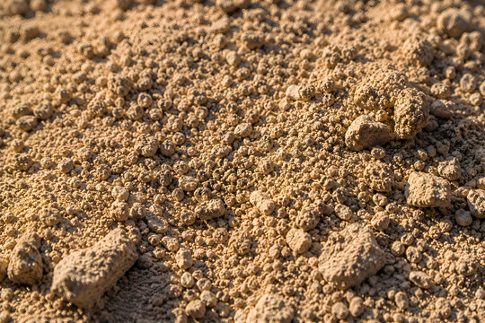 Dry cloddy soil texture background with crumbly earth and dirt clods during drought or climate change crisis under warm evening sunlight.