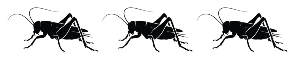 Three black cricket silhouettes, side profile insect vector illustration. Detailed grasshopper or locust graphic for nature, entomology, or pest control designs. © Carter