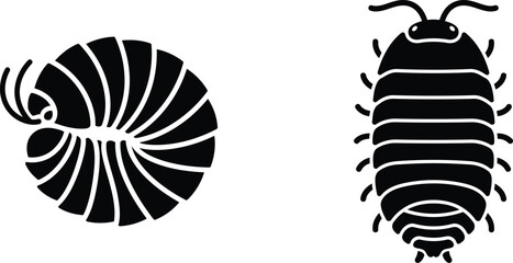 black and white illustration of nautilus and pill bug  simple animal designs © Saidurra12
