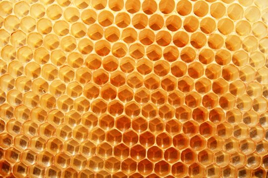 Empty natural honeycomb showcasing perfectly formed hexagonal beeswax cells. The intricate geometric structure demonstrates the remarkable engineering of honey bees and serves an excellent background