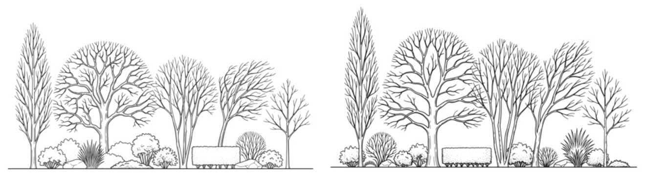 Bare Tree and Shrub Line Art Illustration &ndash; Vector Sketch of Winter Deciduous Trees, Bushes, Hedges, and Rocks for Architectural Elevations and Landscape Design