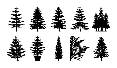 Obraz premium Evergreen Tree Silhouette Vector Collection Set Featuring Pine and Fir Conifer Forest Plant Shapes