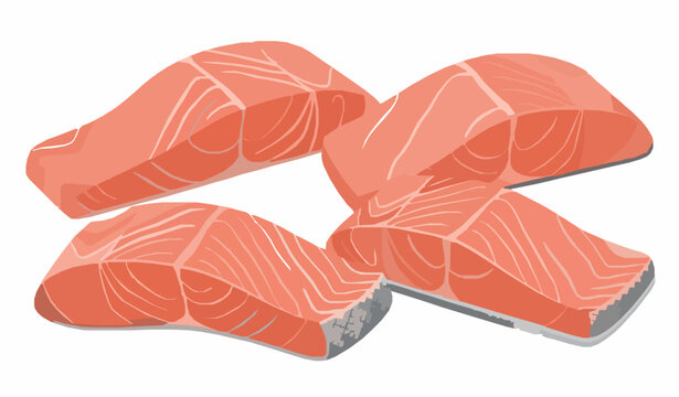 Raw Salmon and Trout Fillets Collection Seafood Food Vector Design