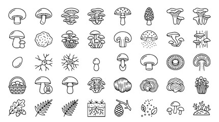 Editable Mushroom Linear Icon Pack with Wild Fungi Botanical and Woodland Elements © Shohel