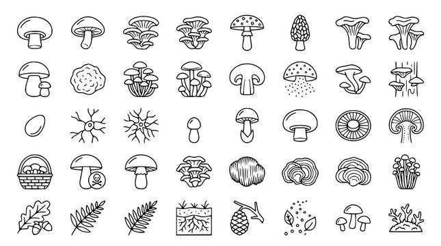 Editable Mushroom Linear Icon Pack with Wild Fungi Botanical and Woodland Elements