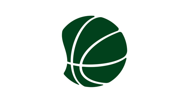 Pakistan basketball flag, color vector illustration