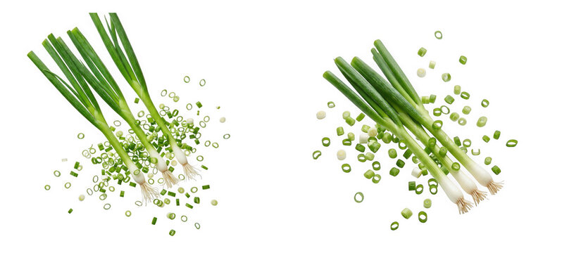 Fresh green onions or scallions with chopped pieces isolated on transparent background