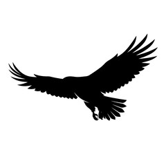 Fototapeta premium Black eagle silhouette, flying bird icon, wildlife symbol, vector graphic isolated on White Background