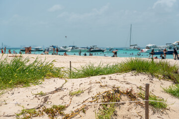 Fototapeta premium Beautiful Caribbean beach Playa Norte or North beach on the Isla Mujeres near Cancun, Mexico