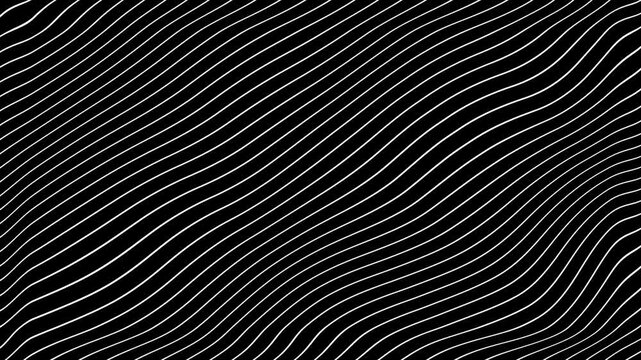 White Grey abstract curved wavy lines twist motion on black background.Visual white wavy line on black motion background.Minimal abstract thin white color wavy line moving background.