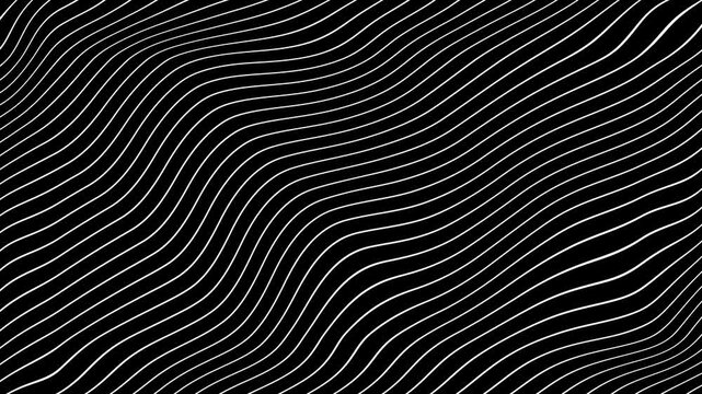 White Grey abstract curved wavy lines twist motion on black background.Visual white wavy line on black motion background.Minimal abstract thin white color wavy line moving background.