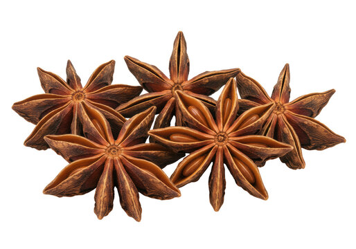Dried star anise pods, dark reddish-brown, star-shaped, scattered on transparent background with copy space, soft studio light, concept for spice product photography