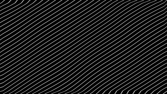 White Grey abstract curved wavy lines twist motion on black background.Visual white wavy line on black motion background.Minimal abstract thin white color wavy line moving background.