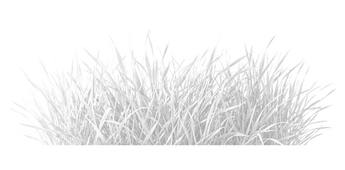 Obraz premium Grass Halftone Design Isolated on Transparent Background, Halftone Texture, grain texture, Texture overlay, print Texture overlay, halftone grunge texture, png.