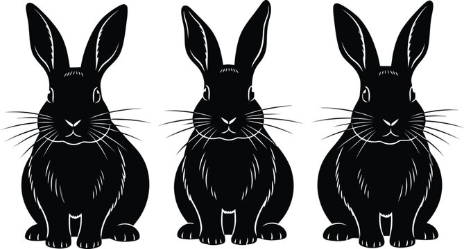 Three black rabbit silhouettes facing forward minimalist wildlife illustration