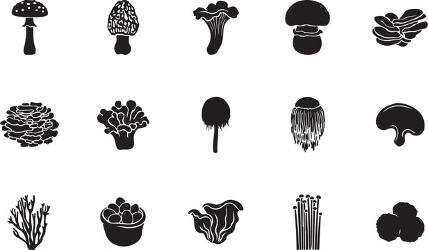 Modern Black And White Vector Logo Of Human Body Anatomy Consisting 10 Different Elements: Brain, Heart, Lungs, Liver, Stomach, Kidneys, Muscles, Bones, Blood Vessels Nervous System. 222