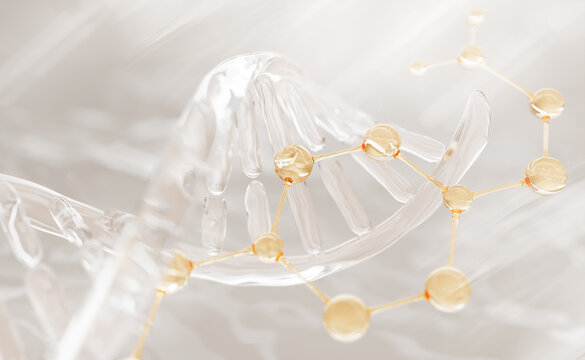 Transparent DNA helix strand structure with gold molecule. Bio cosmetic lab 3d background. Beauty oil, genetic serum with hyaluronic acid, collagen peptides. Biotech, skincare science. 3D Illustration