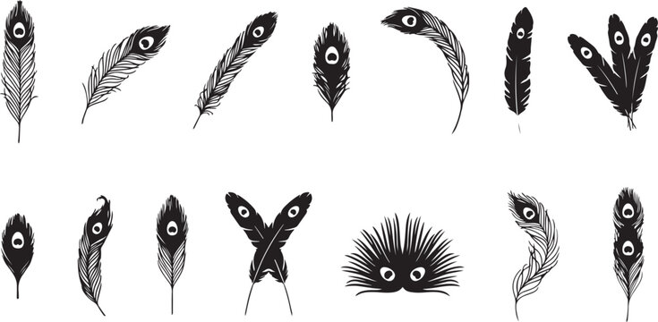 Black Feather Silhouettes Against Background For Creative Designs 206