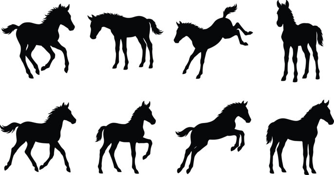 Set of black foal silhouettes showing baby horses in various active poses including jumping running and walking