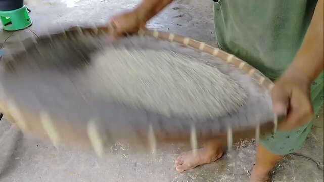 a woman winnows white rice using a traditional winnowing tray