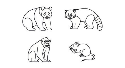 Panda red panda monkey and mouse illustration set © masa