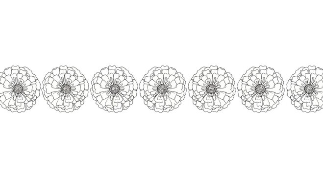 A horizontal border of seven detailed hand drawn zinnia flowers in a line.