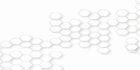 Fototapeta premium Abstract White Molecule Background with Floating Spheres and Bubbles 3D Vector Illustration for Modern Science Technology Business and Communication Design