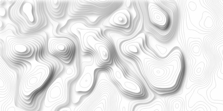 Minimal white landscape topography map area wallpaper. minimal topo paper lines. Topographic contour lines grid map fabric pattern. Geographic mountain relief. Contour hiking design.