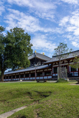 Obraz premium Pathway in Nara Park near Todai-ji, Nara Japan 