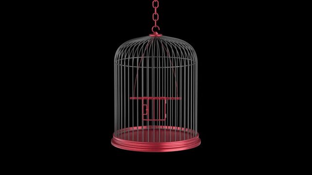 Opening door of empty bird cage on black background