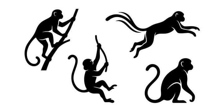 Four monkeys are illustrated in various poses on and near a branch.