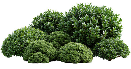Naklejka premium Fresh green artificial hedge bushes isolated on transparent background