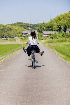 田園風景の通学路を自転車で帰る女子高校生の後ろ姿