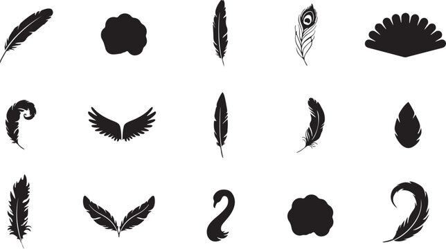 Flying Black Feathers Isolated On White Background 276