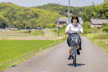 Naklejka premium 田園風景の通学路を自転車で走る女子高校生